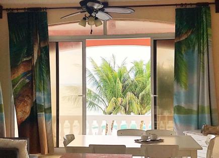 Flat for 80 euro per day in Cabarete, Dominican Republic