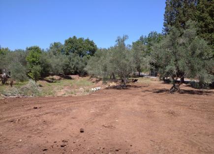 Land for 110 000 euro on Corfu, Greece