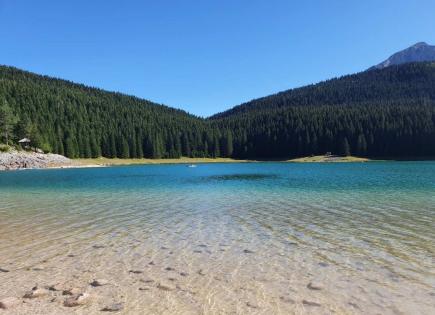 Terreno para 65 000 euro en Zabljak, Montenegro