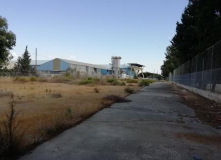 Terrain pour 1 400 000 Euro à Limassol, Chypre