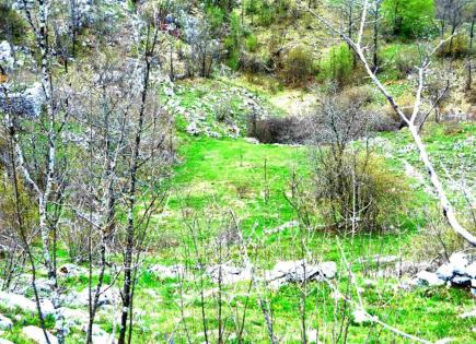 Terrain pour 90 000 Euro à Cetinje, Monténégro