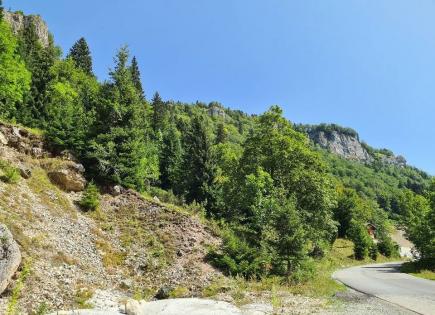 Land for 187 500 euro in Kolasin, Montenegro