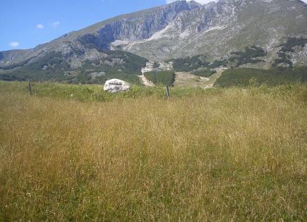 Terrain pour 240 000 Euro à Zabljak, Monténégro