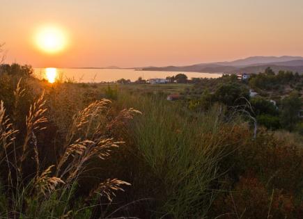 Terrain pour 260 000 Euro en Sithonie, Grèce
