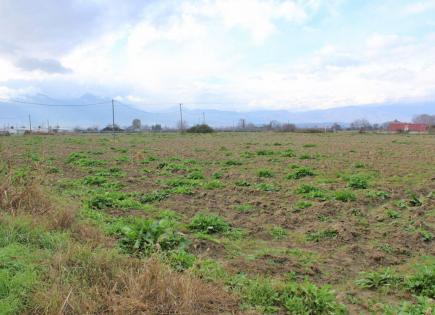 Land for 550 000 euro in Pieria, Greece