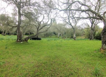 Land for 160 000 euro in Corfu, Greece