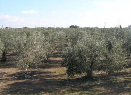 Terrain pour 480 000 Euro à Sani, Grèce