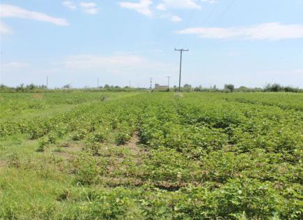 Land for 200 000 euro in Pieria, Greece