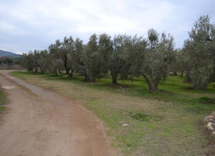 Land for 350 000 euro in Chalkidiki, Greece