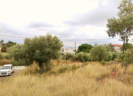 Terrain pour 160 000 Euro en Chalcidique, Grèce
