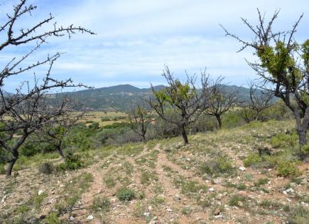 Terrain pour 160 000 Euro en Chalcidique, Grèce