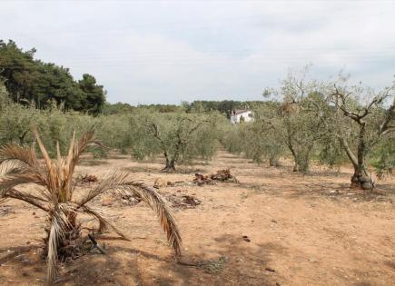 Terrain pour 900 000 Euro en Chalcidique, Grèce