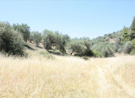 Land for 280 000 euro in Chalkidiki, Greece