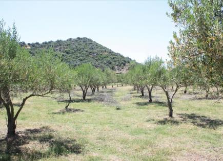 Terreno para 350 000 euro en Sitonia, Grecia