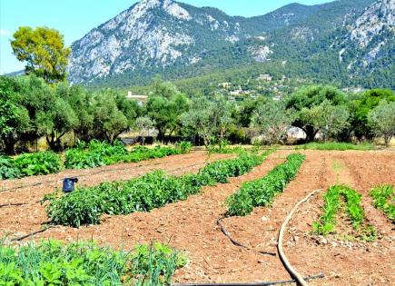 Terrain pour 380 000 Euro en Corinthie, Grèce