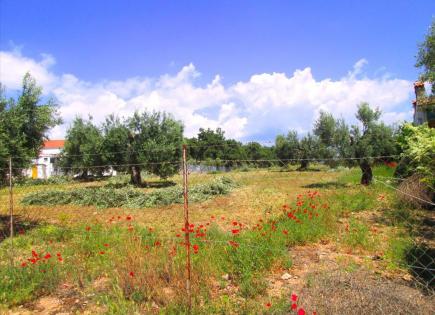 Land for 300 000 euro in Chalkidiki, Greece