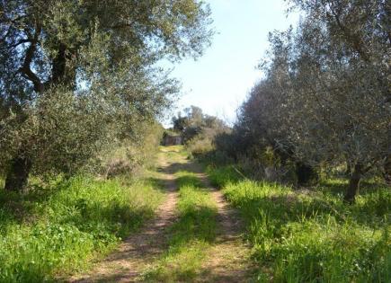 Land for 1 350 000 euro in Corfu, Greece