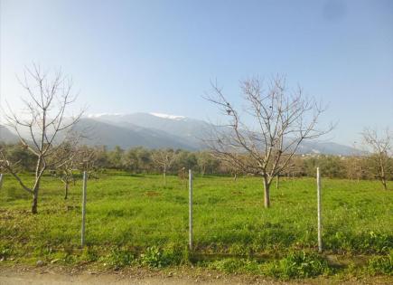 Terrain pour 450 000 Euro à Piérie, Grèce