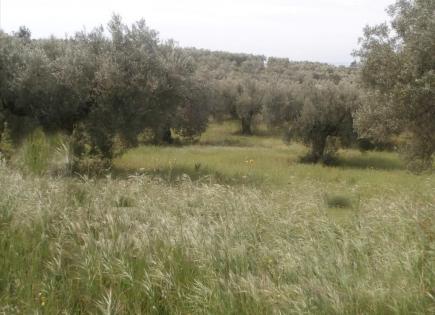 Terrain pour 180 000 Euro en Chalcidique, Grèce