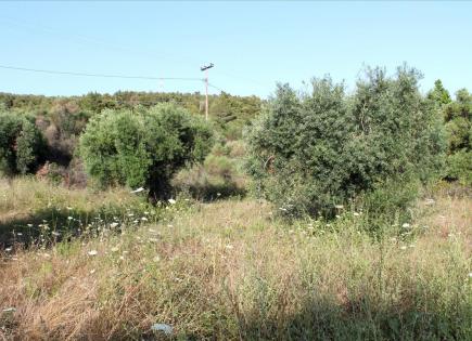 Terrain pour 400 000 Euro en Chalcidique, Grèce