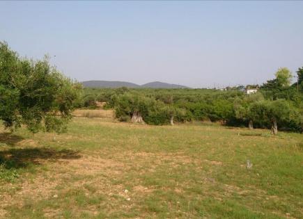 Land for 215 000 euro in Sithonia, Greece