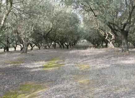 Terrain pour 250 000 Euro à Thessalonique, Grèce