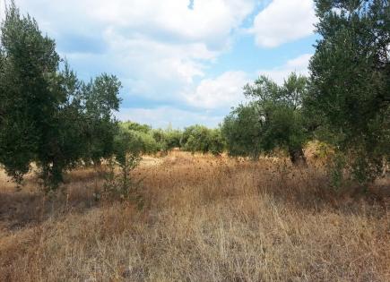 Land for 294 000 euro in Chalkidiki, Greece