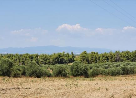 Land for 300 000 euro in Chalkidiki, Greece