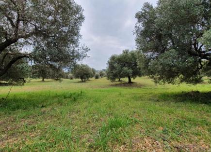 Land for 220 000 euro in Chalkidiki, Greece