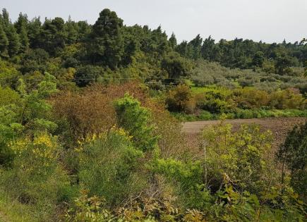 Land for 250 000 euro in Kassandra, Greece