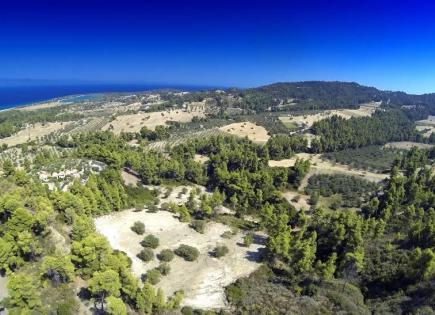 Land for 600 000 euro in Chalkidiki, Greece