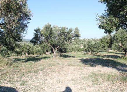 Terrain pour 160 000 Euro en Chalcidique, Grèce
