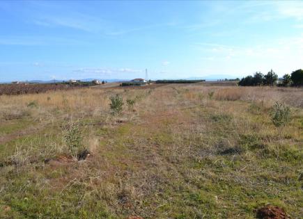 Land for 160 000 euro in Kassandra, Greece