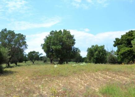 Land for 480 000 euro in Kassandra, Greece