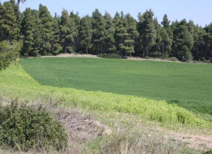 Land for 300 000 euro in Chalkidiki, Greece