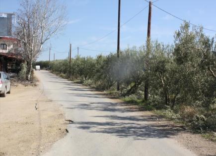 Terrain pour 300 000 Euro en Chalcidique, Grèce