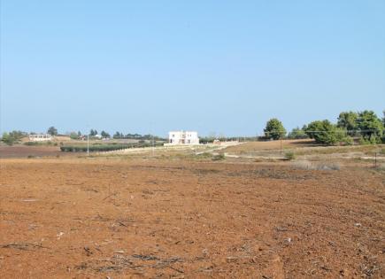 Terrain pour 300 000 Euro en Chalcidique, Grèce