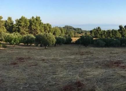 Terrain pour 190 000 Euro en Chalcidique, Grèce