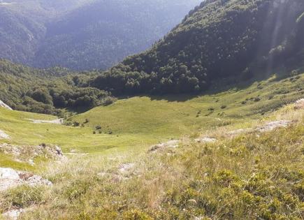 Terrain pour 258 000 Euro à Kolasin, Monténégro