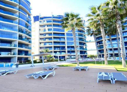 Apartment for 170 euro per day in Punta Prima, Spain