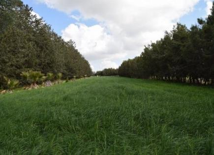 Land for 299 000 euro in Paphos, Cyprus