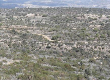 Terrain pour 1 773 000 Euro à Limassol, Chypre