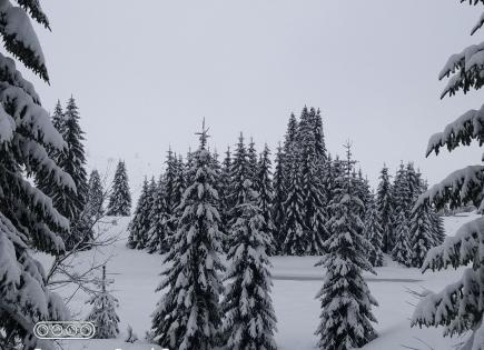 Terreno para 40 000 euro en Zabljak, Montenegro