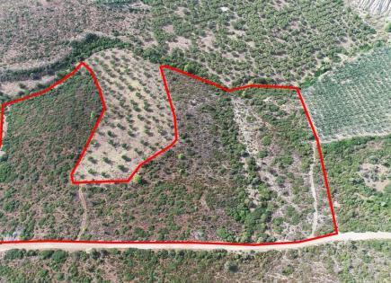 Terrain pour 370 000 Euro en Chalcidique, Grèce