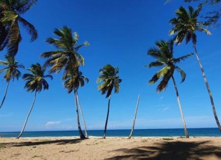 Terrain pour 376 997 Euro à Punta Cana, République dominicaine