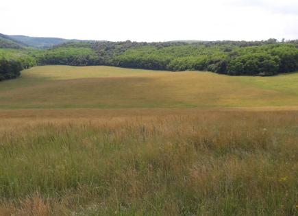 Granja para 990 000 euro en Hungría