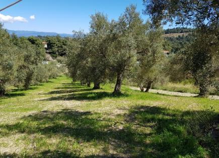 Land for 150 000 euro in Chalkidiki, Greece