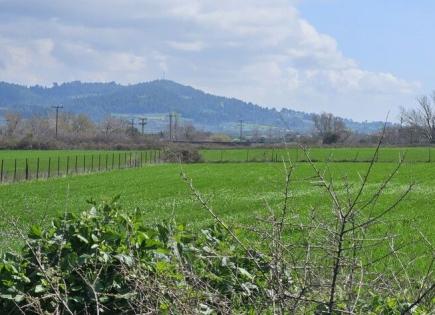 Terrain pour 230 000 Euro en Chalcidique, Grèce