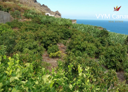 Land for 500 000 euro on Tenerife, Spain