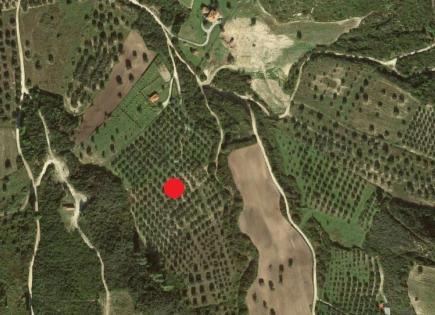 Land for 250 000 euro in Chalkidiki, Greece